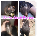 Famous Growth Shampoo & Conditioner Set - Famous Skin Care