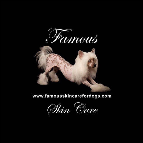 Famous Sanitize Your Paws - Famous Skin Care